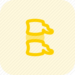 脊柱