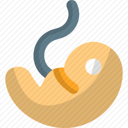 <em>胚胎</em>