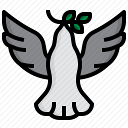 鸽子