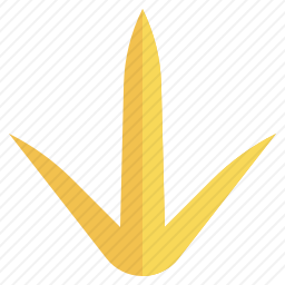 鸟爪印