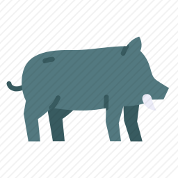 野猪