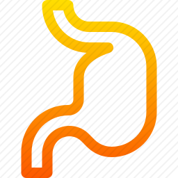 <em>胃</em>