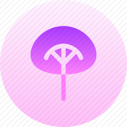 脾