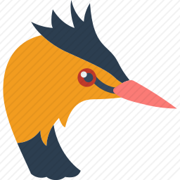 鸟
