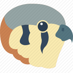 鸟