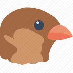 鸟