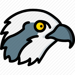 <em>鱼鹰</em>