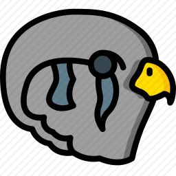鸟