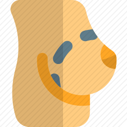 隆胸