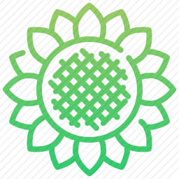 <em>向日葵</em>