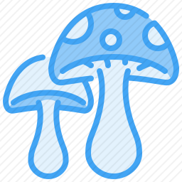 <em>蘑菇</em>