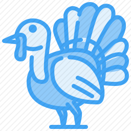<em>火鸡</em>