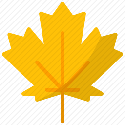 <em>枫叶</em>