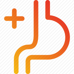 胃