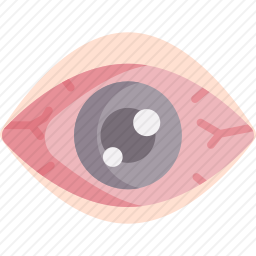 <em>眼睛</em>