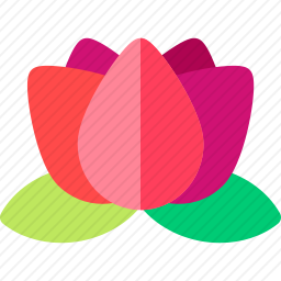 莲花