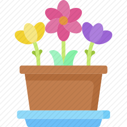 花盆
