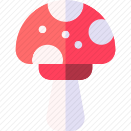 蘑菇