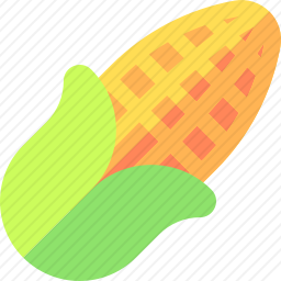 玉米
