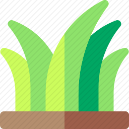 草