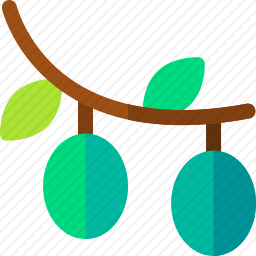橄榄