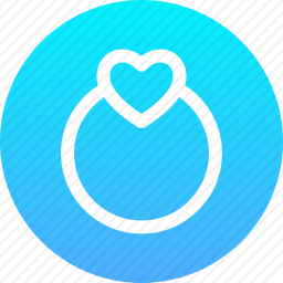 <em>戒指</em>