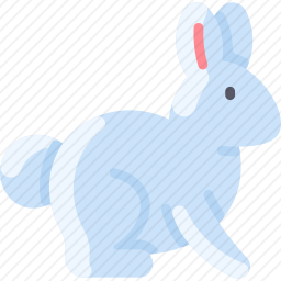 野兔