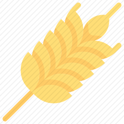 <em>小麦</em>
