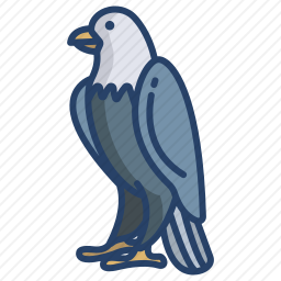 <em>鹰</em>