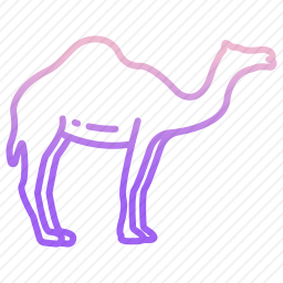 骆驼