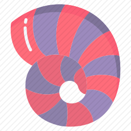 贝壳