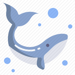 <em>鲸鱼</em>