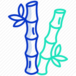竹