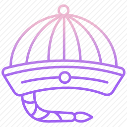 <em>帽子</em>
