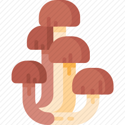 <em>蘑菇</em>