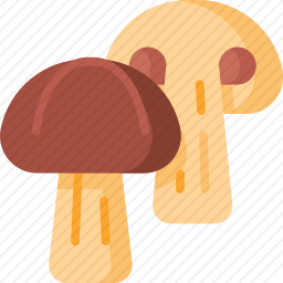 蘑菇