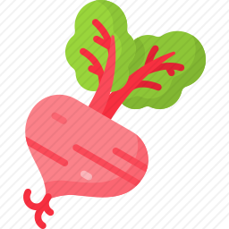 甜菜根