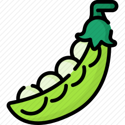 豌豆