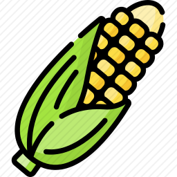 <em>玉米</em>