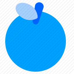 橙子