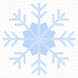 <em>雪花</em>