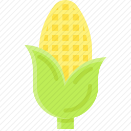 <em>玉米</em>