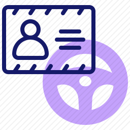 <em>驾驶执照</em>
