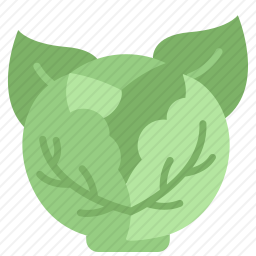 白菜