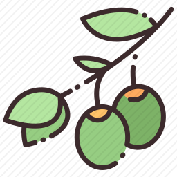 橄榄