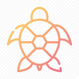 <em>乌龟</em>