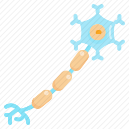 <em>神经元</em>