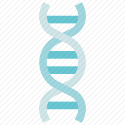 DNA
