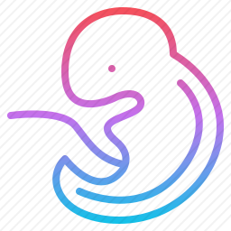 <em>胚胎</em>