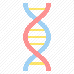 DNA